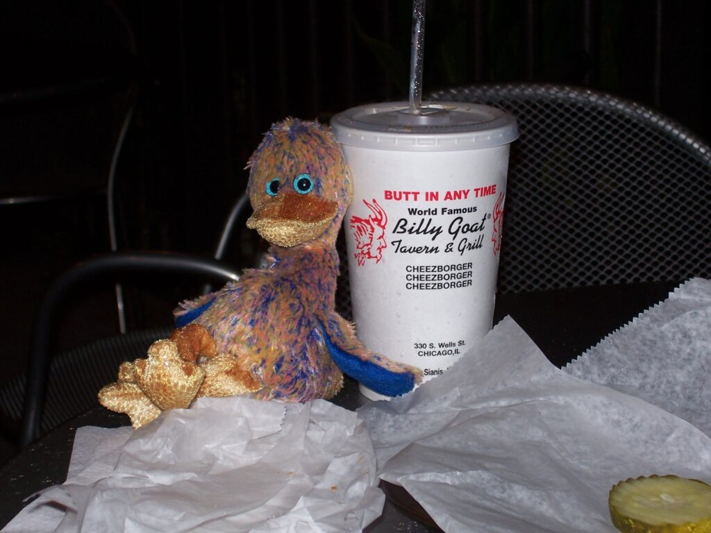Dinky helping to celebrate Rob's birthday on the Navy Pier