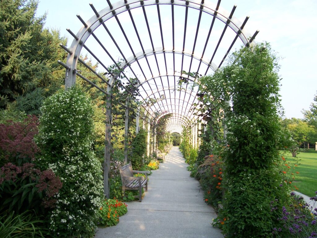 Long curved arbor over walkway in the Minneapolic Sculpture Garden