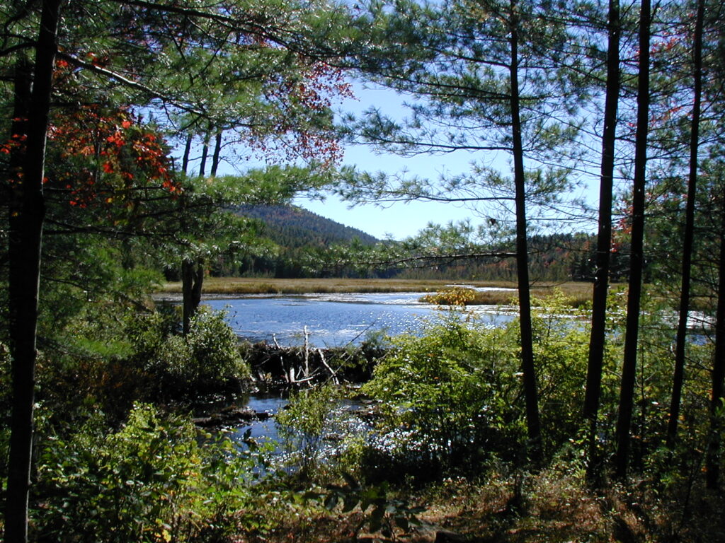 photo-adirondak-lake