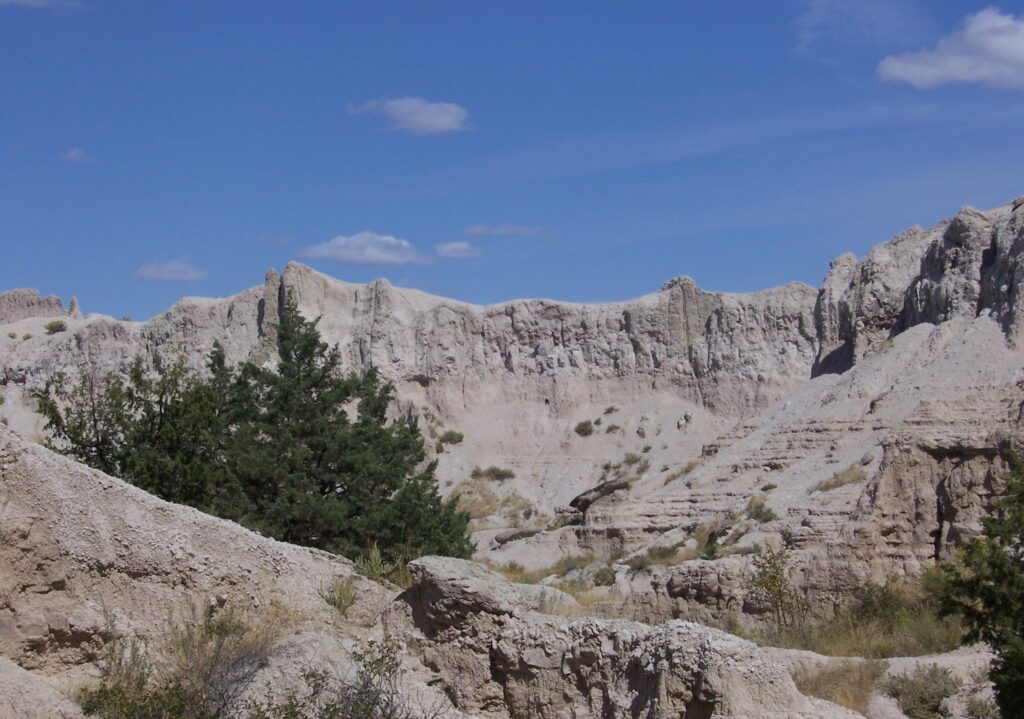 photo-pine-trees-in-foreground-wall-behind