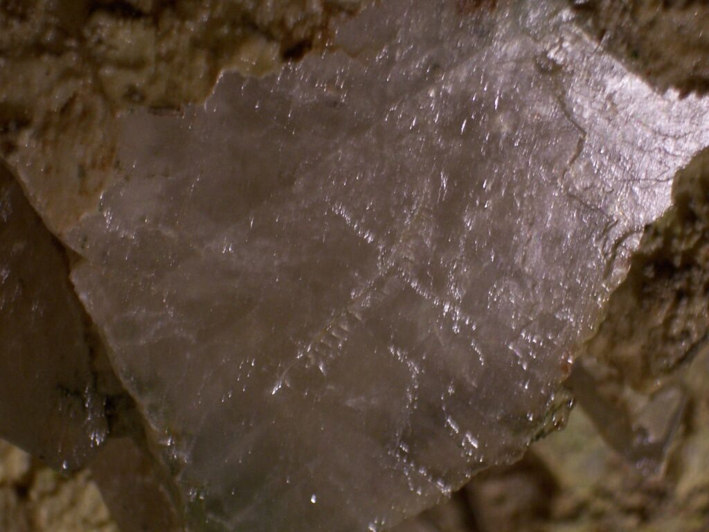 photo-worlds-largest-dog-tooth-crystal