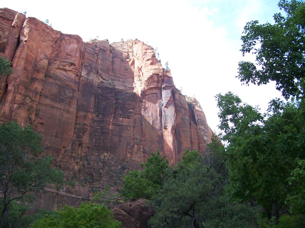 photo-jagged-peaks-with-trees-on-top