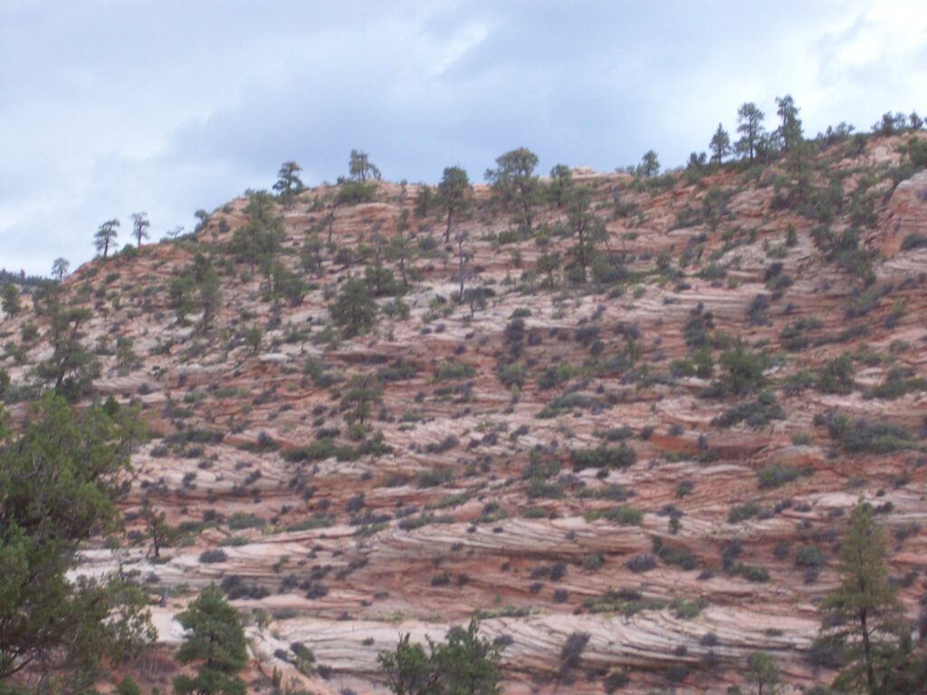 photo-cliffside-dotted-by-brush-and-trees