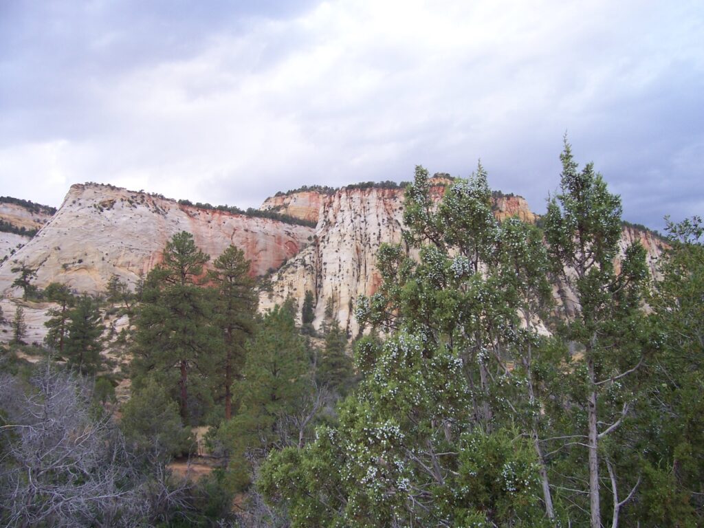 photo-driving-zion-has-lots-of-amazing-cliffs