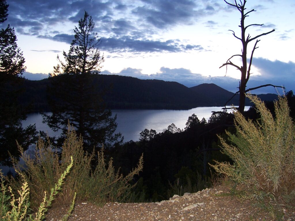 photo-accidental-flash-edge-of-road-silhouette-trees-lake-background
