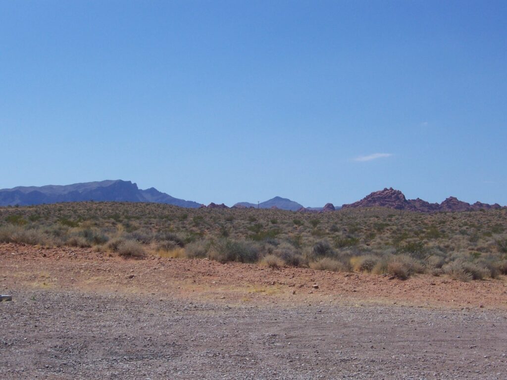 photo-AZ-flatland-sagebrush