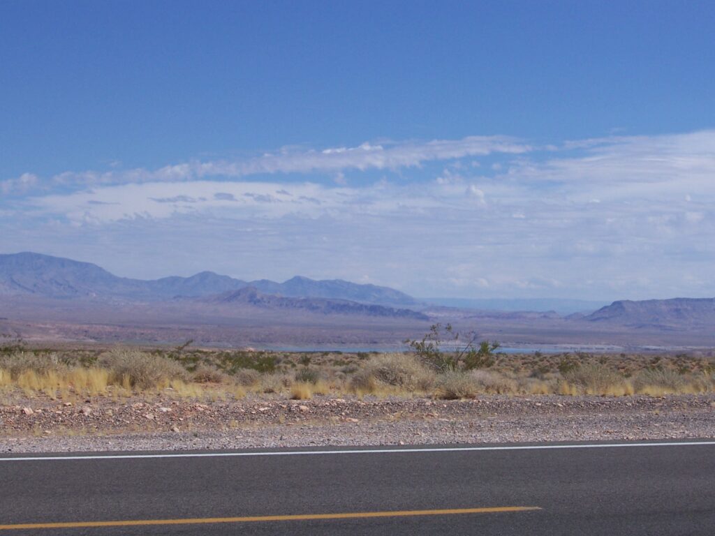 photo-AZ-roadside-brush-mountains-in-the-distance